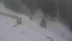 Přístup na běžeckou trať