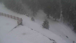 Přístup na běžeckou trať