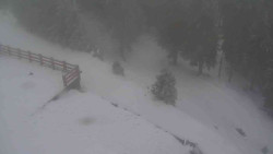 Přístup na běžeckou trať