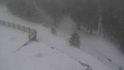 Přístup na běžeckou trať