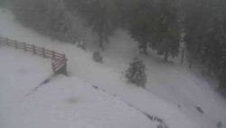 Přístup na běžeckou trať