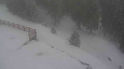 Přístup na běžeckou trať