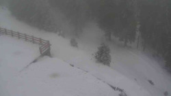 Přístup na běžeckou trať