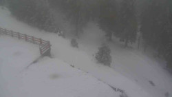 Přístup na běžeckou trať