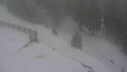 Přístup na běžeckou trať