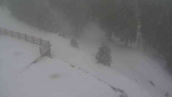 Přístup na běžeckou trať