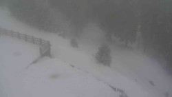 Přístup na běžeckou trať