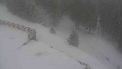 Přístup na běžeckou trať