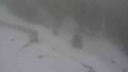 Přístup na běžeckou trať