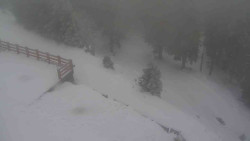 Přístup na běžeckou trať