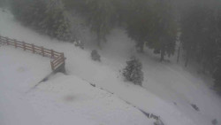 Přístup na běžeckou trať