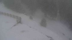 Přístup na běžeckou trať