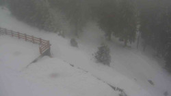 Přístup na běžeckou trať