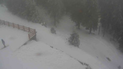 Přístup na běžeckou trať