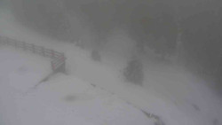 Přístup na běžeckou trať