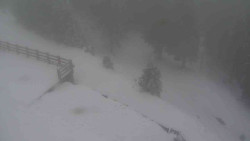 Přístup na běžeckou trať