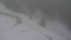 Přístup na běžeckou trať