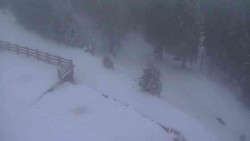 Přístup na běžeckou trať