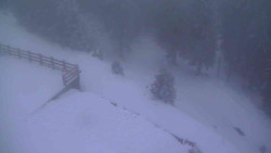 Přístup na běžeckou trať