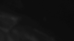 Přístup na běžeckou trať