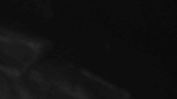 Přístup na běžeckou trať