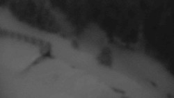 Přístup na běžeckou trať