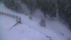 Přístup na běžeckou trať