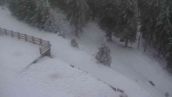 Přístup na běžeckou trať