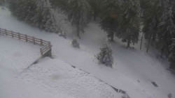 Přístup na běžeckou trať