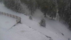 Přístup na běžeckou trať