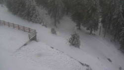 Přístup na běžeckou trať