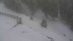 Přístup na běžeckou trať