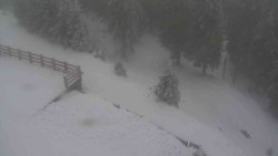 Přístup na běžeckou trať