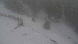 Přístup na běžeckou trať