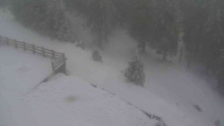 Přístup na běžeckou trať