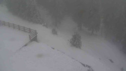 Přístup na běžeckou trať