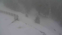 Přístup na běžeckou trať