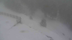 Přístup na běžeckou trať