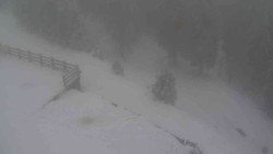 Přístup na běžeckou trať