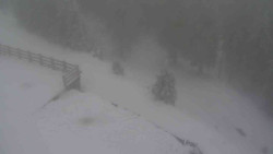 Přístup na běžeckou trať