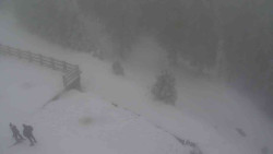 Přístup na běžeckou trať