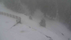 Přístup na běžeckou trať