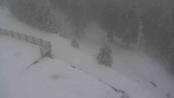 Přístup na běžeckou trať