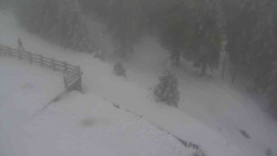 Přístup na běžeckou trať