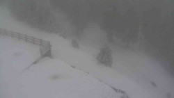 Přístup na běžeckou trať