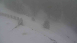 Přístup na běžeckou trať