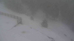 Přístup na běžeckou trať