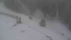 Přístup na běžeckou trať