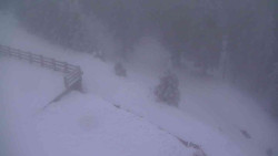 Přístup na běžeckou trať