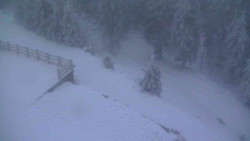 Přístup na běžeckou trať